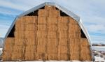 Standard Hay Tarps - Waterproof Silver Polyethylene