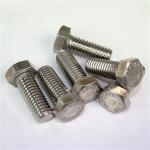 1705067 Shur-Co (OEM) Stainless Hex Head Cap Screw - 5/16 x 2